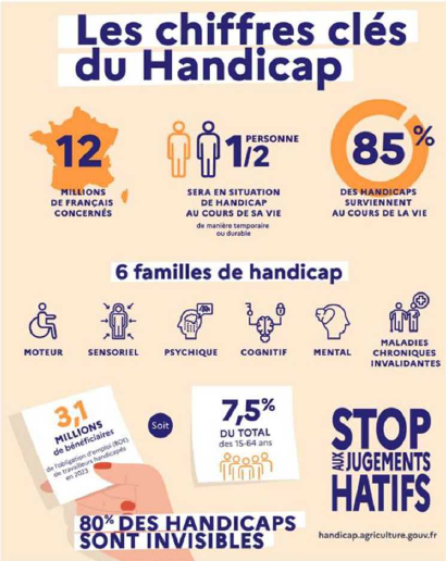 handicap invisible les chiffres